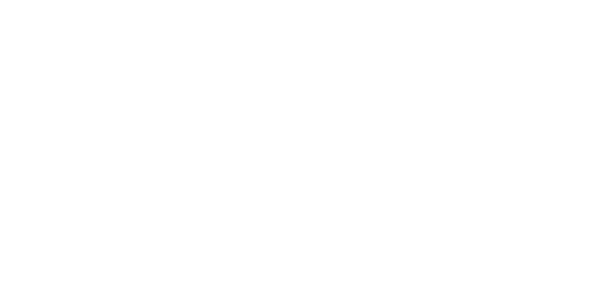 Logo BYR